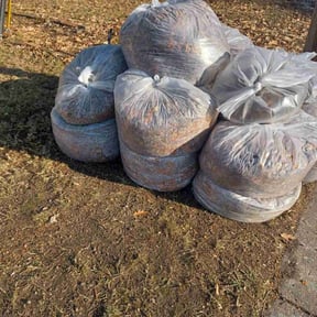 Leaf Removal by Type A Lawn Guy reviewed on June 24, 2025