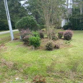 Flower Bed Weeding by Tropicare Landscape and Maintenance reviewed on September 30, 2021