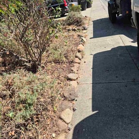 Bush Trimming by Lawncare DM. reviewed on April 1, 2025