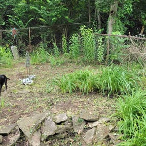 Flower Bed Weeding by Family Lawn Care reviewed on August 11, 2025