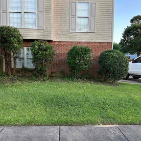 Bush Trimming by Micha's Mowing Services, LLC reviewed on August 27, 2021