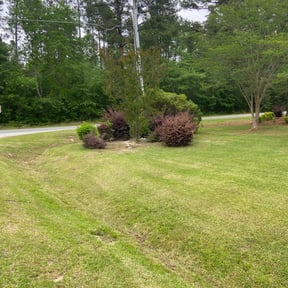 Flower Bed Weeding by Alfonso Mateo reviewed on March 30, 2022