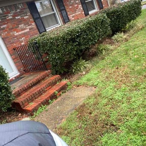 Bush Trimming by Unknown reviewed on November 14, 2024