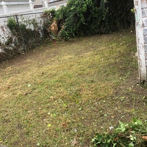 Cleanups by Top coat painting & home solutions llc reviewed on June 10, 2022