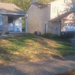 Lawn Seeding by Tilcco reviewed on June 17, 2022