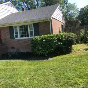 Bush Trimming by George of the jungle lawn care reviewed on June 29, 2025
