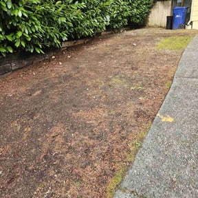 Leaf Removal by Allen Investments reviewed on May 16, 2022