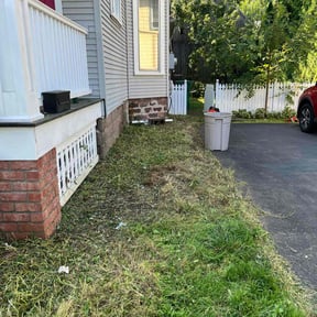 Flower Bed Weeding by Better Days reviewed on November 20, 2024