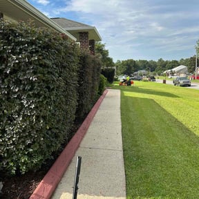 Bush Trimming by Eagles Outdoor Services reviewed on July 20, 2022
