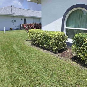 Bush Trimming by Vaquero Hills Landscaping llc. reviewed on December 9, 2023
