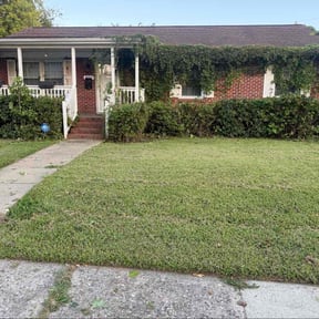 Bush Trimming by MR LAWN CARE reviewed on May 9, 2022