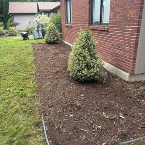 Flower Bed Weeding by Pro Scaping reviewed on June 14, 2022