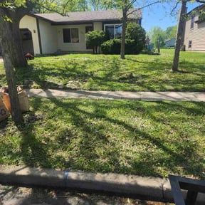 Leaf Removal by Kyle's Lawns reviewed on August 30, 2021