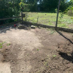 Bush Trimming by Micks Mowing reviewed on April 26, 2022