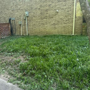 Cleanups by LSLTAustin/SanAntonioEmerald reviewed on November 6, 2024