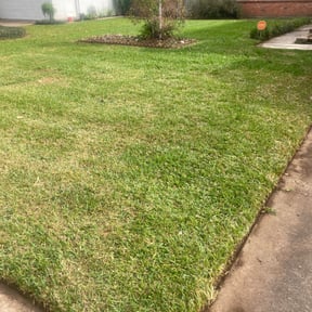 Leaf Removal by Antonio Villasenor reviewed on September 18, 2024
