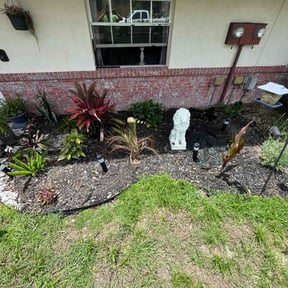 Flower Bed Weeding by Lagos unlimited service reviewed on June 15, 2022