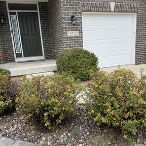 Bush Trimming by Full Circle Lawn & Landscape reviewed on May 12, 2022