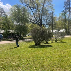 Bush Trimming by Ultimate Landscape Contractor reviewed on July 7, 2022
