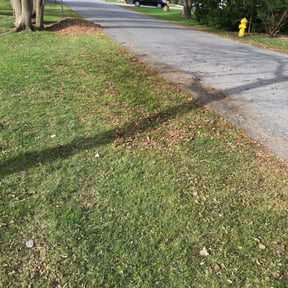 Leaf Removal by Nares landscaping reviewed on October 16, 2020