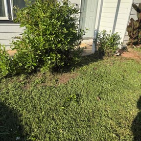 Flower Bed Weeding by Diego Mojica Lawn Care reviewed on July 18, 2022