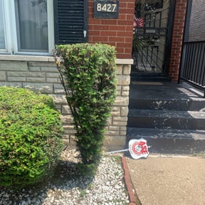 Bush Trimming by Brother reviewed on August 3, 2022