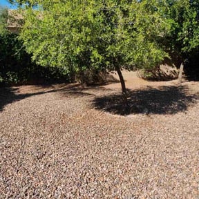 Cleanups by White Flag lawncare reviewed on June 17, 2022