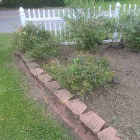 Flower Bed Weeding by Yolanda reviewed on May 23, 2023