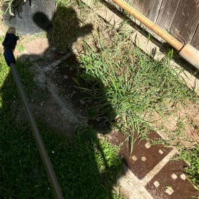 Flower Bed Weeding by Parker Landscape & Maintenance reviewed on June 25, 2025