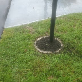 Mulching by Green clover group llc reviewed on July 2, 2025