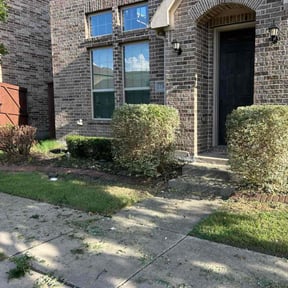 Bush Trimming by M&M Lawn Care reviewed on July 19, 2022