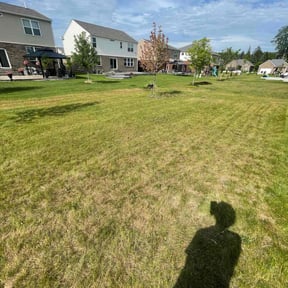 Cleanups by Tjs Luxury Lawnservice reviewed on July 3, 2022