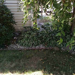 Flower Bed Weeding by Chai reviewed on October 9, 2022