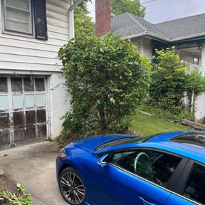 Bush Trimming by Precision Landscaping & more reviewed on January 6, 2022