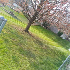 Leaf Removal by Landscapers reviewed on April 24, 2025