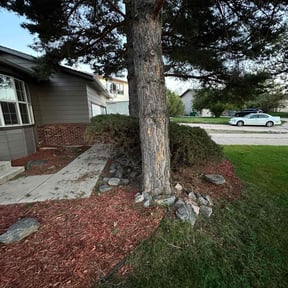 Bush Trimming by Straight to the point lawn reviewed on July 22, 2022