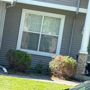 Bush Trimming by Sisu lawn care reviewed on July 13, 2022