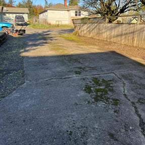 Leaf Removal by The lawn Guy reviewed on July 21, 2020