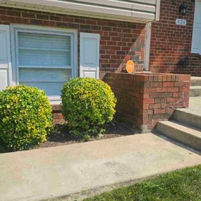 Bush Trimming by First Brick Lawn Service reviewed on July 16, 2022