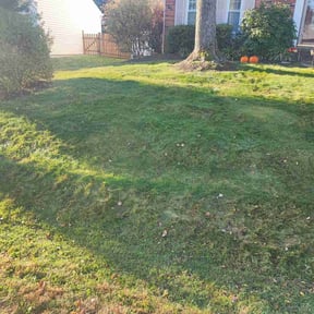Leaf Removal by Landscape & Mowing reviewed on July 30, 2025