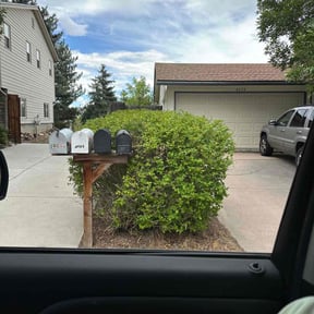 Bush Trimming by 5471 Landscapes reviewed on May 4, 2025