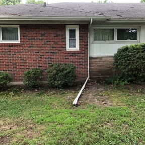 Bush Trimming by AWWsome lawncare and Landscaping llc reviewed on June 12, 2025
