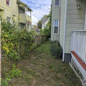 Bush Trimming by Amby's Lawn Service reviewed on March 24, 2022