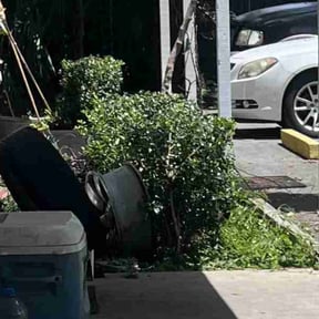 Bush Trimming by Artscapes reviewed on June 3, 2022