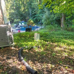 Cleanups by Jose Landscaping. reviewed on June 19, 2025
