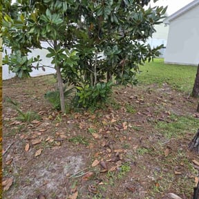 Flower Bed Weeding by Done Rite lawn maintenance reviewed on April 17, 2025