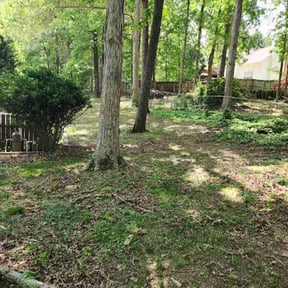 Cleanups by Court Landscaping reviewed on April 8, 2025