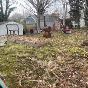 Leaf Removal by Betty Lawn Care reviewed on June 18, 2022