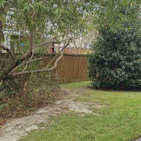 Bush Trimming by Duane & Sons lawn care reviewed on June 16, 2022