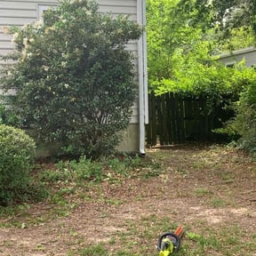 Bush Trimming by Joseph Fullner reviewed on June 11, 2022